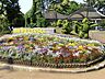 周辺：野毛山動物園　400ｍ