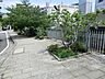 周辺：石崎川公園　550ｍ