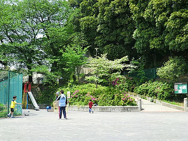 周辺を拡大表示