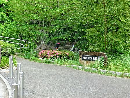 横浜市児童遊園地 280m