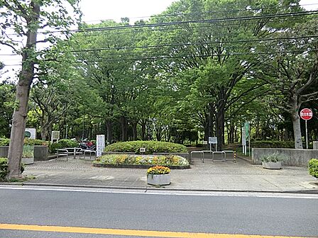 根岸森林公園 1300m
