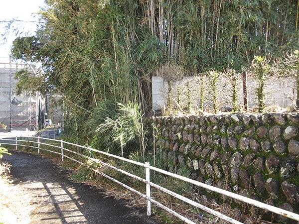 室内を拡大表示