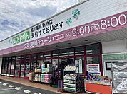 クスリ岩？チェーン　新地店営業時間