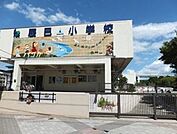 江東区立辰巳小学校（700m）
