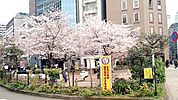 麹町こどもの広場（717m）