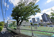 港区立笄小学校（485m）