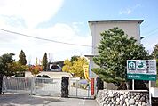 犬山市立 城東小学校 800m