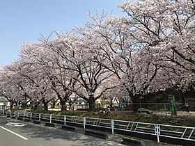 プレミアムガレージ尼寺 F ｜ 佐賀県佐賀市大和町大字尼寺（賃貸アパート1R・1階・42.35㎡） その30