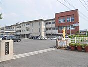 本庄小学校(300m)