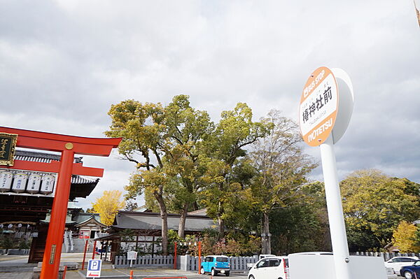 画像14:椿神社前 バス停
