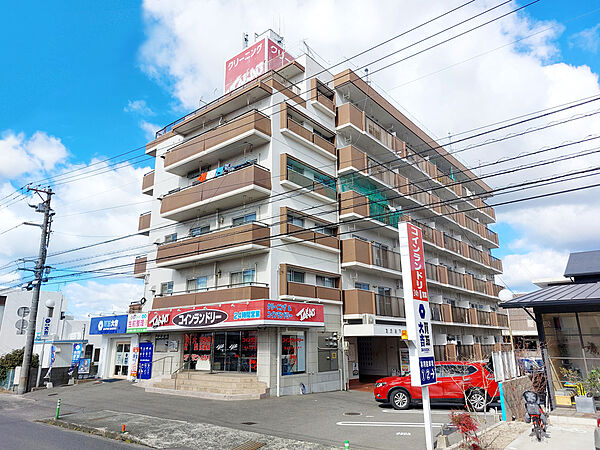 たかおマンション 406 号室｜愛媛県松山市古川西1丁目(賃貸マンション3LDK・4階・52.97㎡)の写真 その1