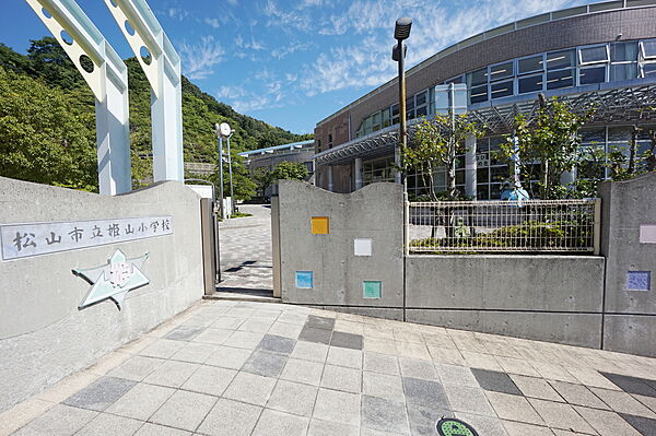 画像28:姫山小学校