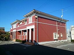 プリムローズ2　B