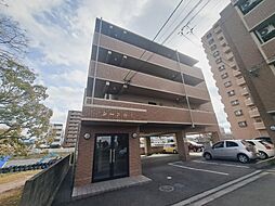 シースカイ