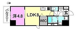 メイフェア千舟通プレミアム 1LDKの間取図画像