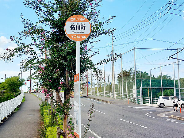 画像29:拓川町 バス停