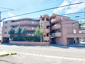 Ｓｅｌｅｎｅ三番館 303 号室 ｜ 愛媛県松山市桑原2丁目（賃貸マンション1K・3階・20.16㎡） その1