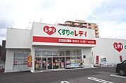 くすりのレディ 美沢店
