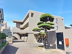 スカール今村