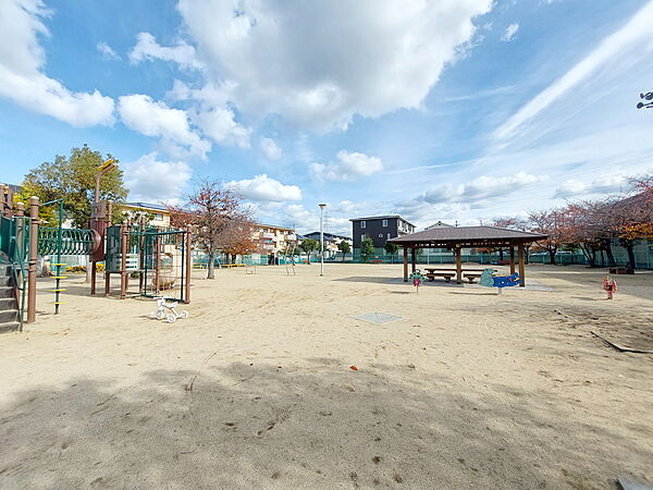 画像9:西石井公園