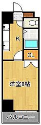 アベニュー扇 8階/-