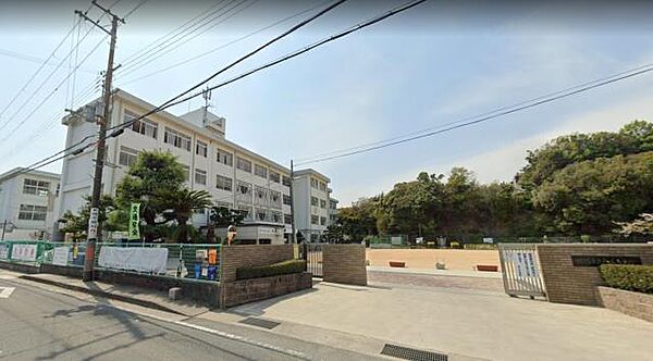プリムローズ・佳音 102｜兵庫県姫路市西庄(賃貸アパート1LDK・1階・42.86㎡)の写真 その19