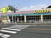 いなげや川崎生田店　900ｍ