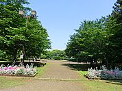 夢見ケ崎公園？650m
