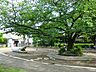 周辺：稲田公園　1470m