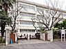 周辺：川崎市立川中島小学校　490ｍ