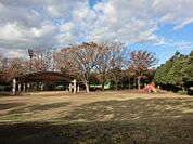 金井公園650m