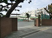 横浜市立希望ケ丘小学校490ｍ