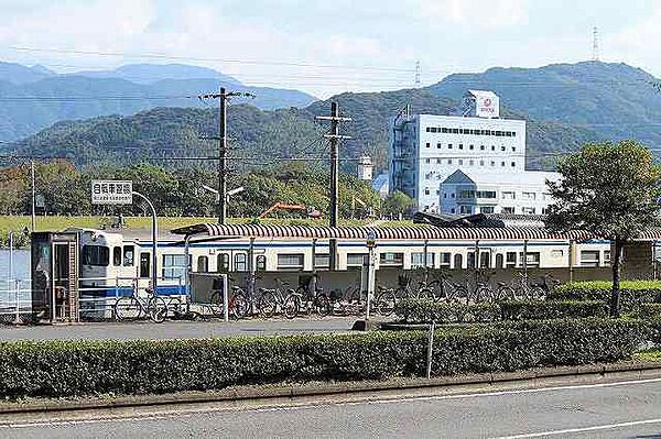 ピンズ原I
