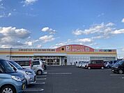 ダイレックス　鏡店 1100m