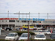 おさかな村 800m