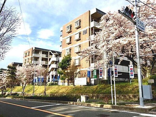 アルビス五月ヶ丘 ｜大阪府池田市五月丘２丁目(賃貸マンション1LDK・2階・56.00㎡)の写真 その1