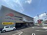 周辺：クスリのアオキ野田店まで745m　徒歩約10分