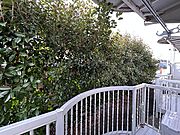※写真は別号室です