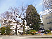 飯田市立上郷小学校（360m）