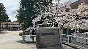松川町立松川中学校（1334m）