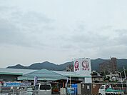 コメリハード＆グリーン 山ノ内店（4264m）