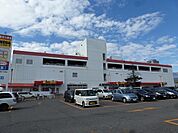 MEGAドン・キホーテ 長野店（1304m）
