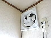 参考写真