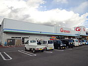 コメリホームセンター 上田店（621m）