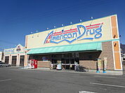 アメリカンドラッグ上田上堀店（81m）