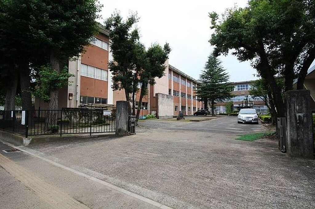 Image 25