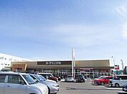 ヨークベニマル泉店 790m