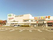 コープふくしま いずみ店 1540m