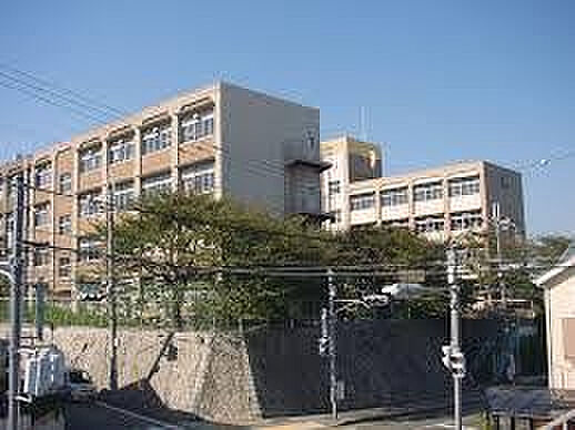 画像18:【中学校】神戸市立王塚台中学校まで492ｍ