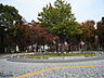 周辺：白川公園まで793ｍ